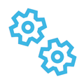 Long-Term Programme Support